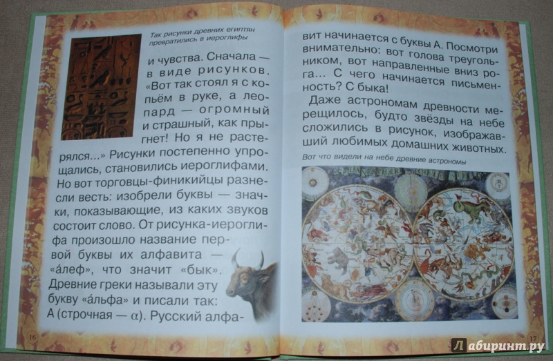 Иллюстрация 11 из 31 для Животные: помощники и друзья - Инна Гамазкова | Лабиринт - книги. Источник: Книжный кот
