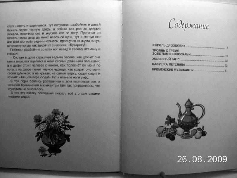 Иллюстрация 21 из 30 для Сказки братьев Гримм - Гримм Якоб и Вильгельм | Лабиринт - книги. Источник: star