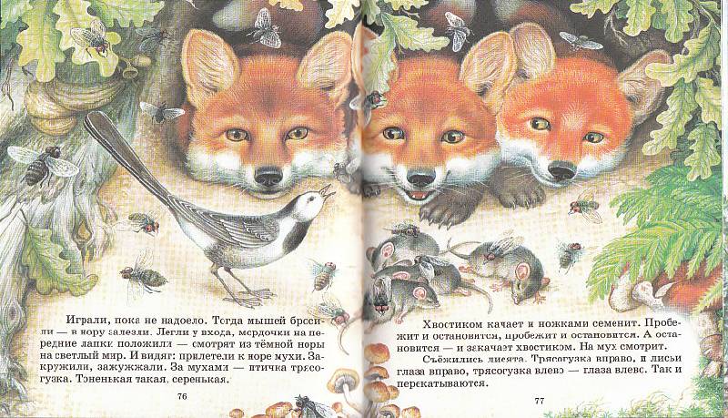 Иллюстрация 13 из 13 для Сказки лесной опушки - Бианки, Сладков, Шим | Лабиринт - книги. Источник: Вафля