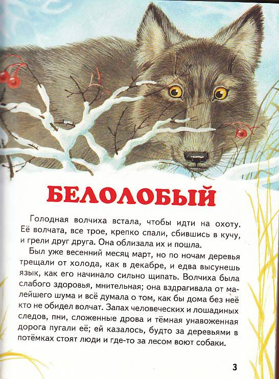 Иллюстрация 14 из 36 для Большая волчья книга: Сказки | Лабиринт - книги. Источник: Вафля