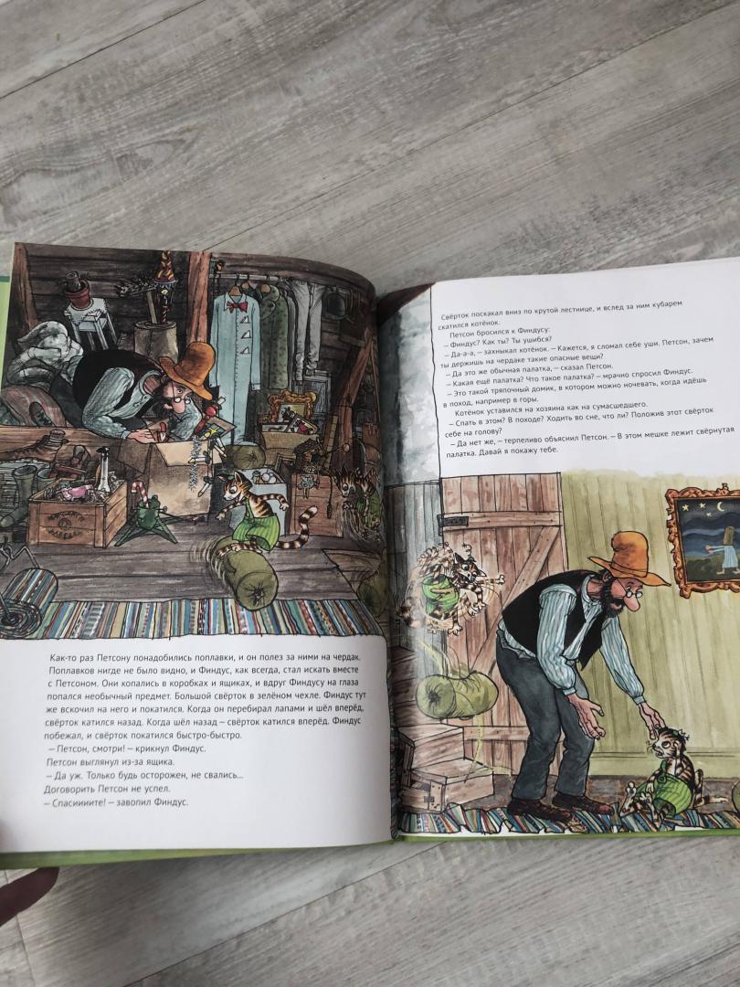 Иллюстрация 43 из 44 для Петсон идёт в поход - Свен Нурдквист | Лабиринт - книги. Источник: Ки  Анастасия