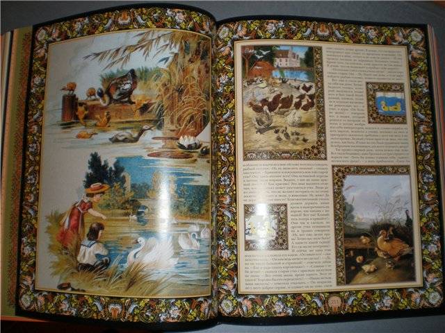 Иллюстрация 5 из 19 для Сказки и истории (в футляре) - Ханс Андерсен | Лабиринт - книги. Источник: Гостья