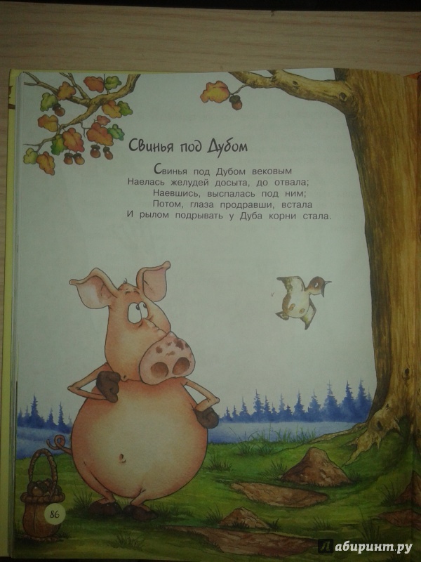 Крылов свинья читать. Свинья под дубом. Стих про свинью и желуди. Свинья под дубом книга. Свинья и дуб.