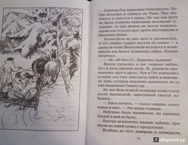 Иллюстрация 47 из 47 для Тимур и его команда - Аркадий Гайдар | Лабиринт - книги. Источник: Slimsi