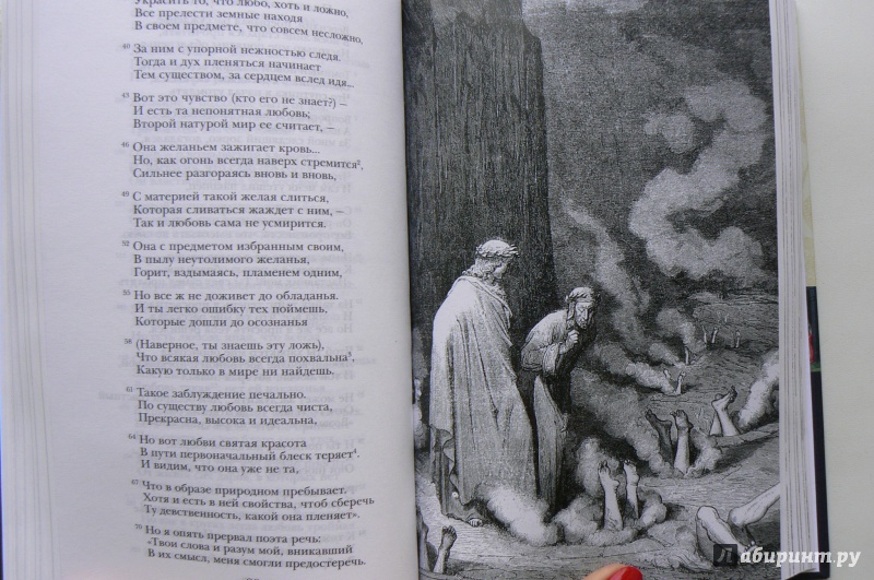 Иллюстрация 25 из 41 для Божественная комедия - Данте Алигьери | Лабиринт - книги. Источник: Марина