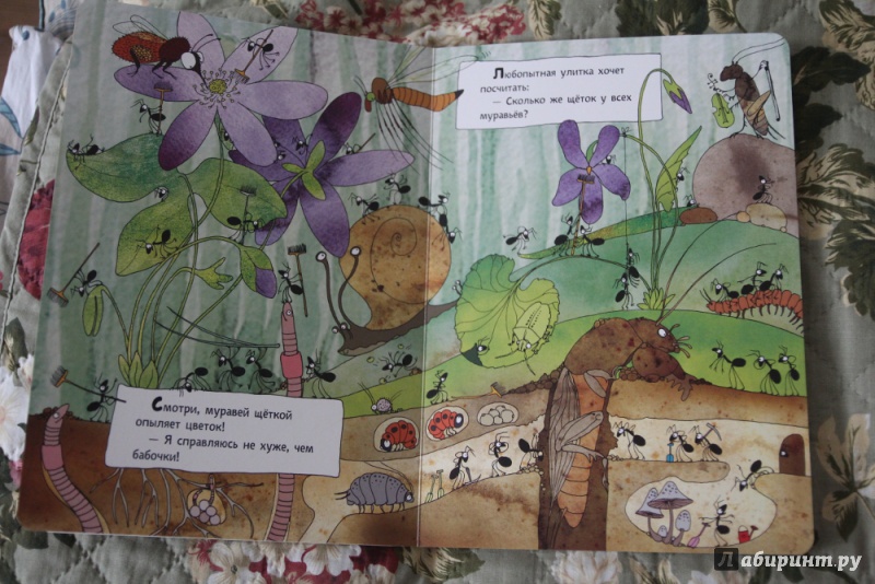 Иллюстрация 11 из 43 для Что делают муравьи | Лабиринт - книги. Источник: Архангельская  Ирина