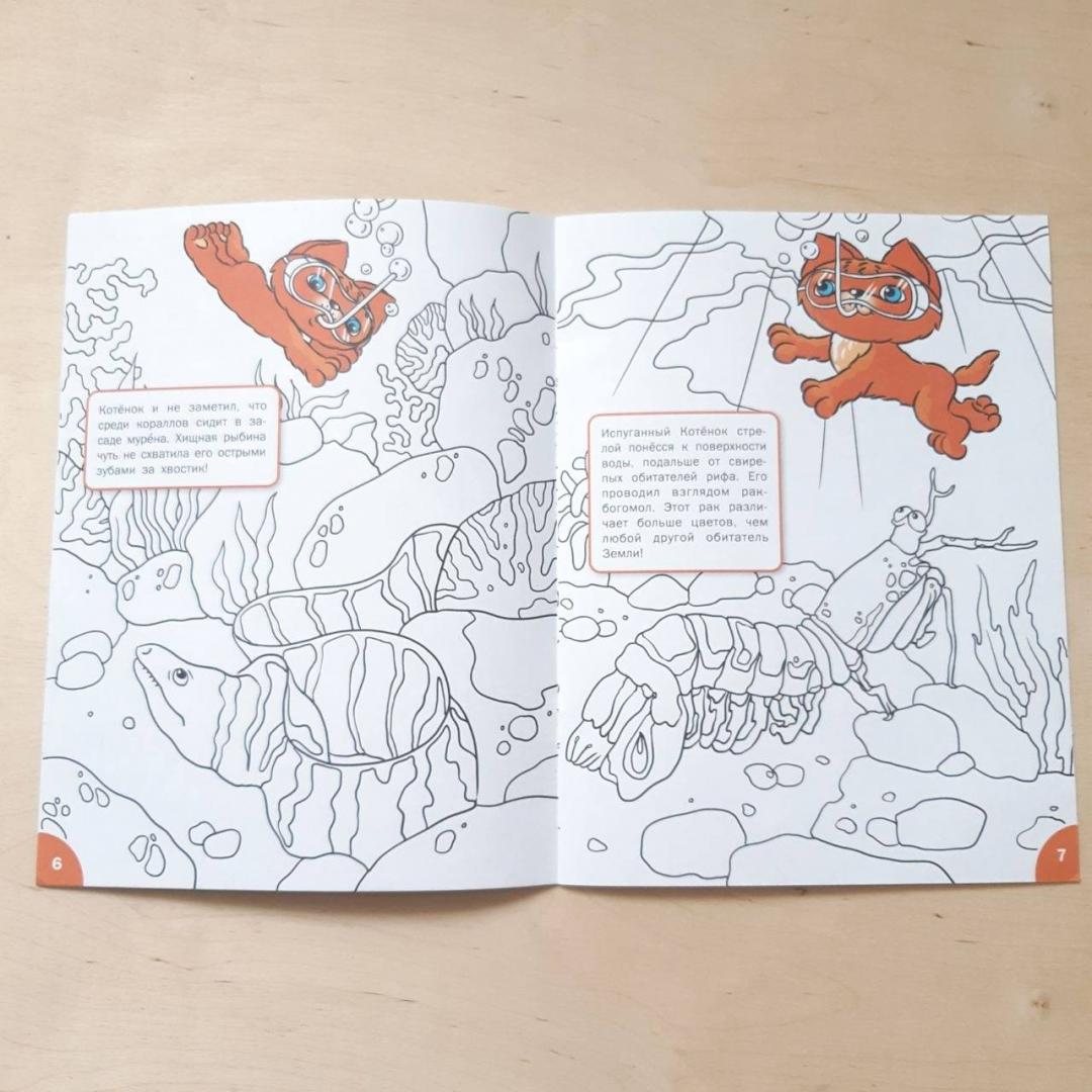 Иллюстрация 13 из 13 для Знакомимся с подводным миром. Развивающие раскраски для детей 5-6 лет - Вениамин Мёдов | Лабиринт - книги. Источник: Лабиринт
