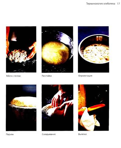 Иллюстрация 9 из 39 для Свой хлеб. Удивительное искусство и простое удовольствие - Ришар Бертине | Лабиринт - книги. Источник: Золотая рыбка