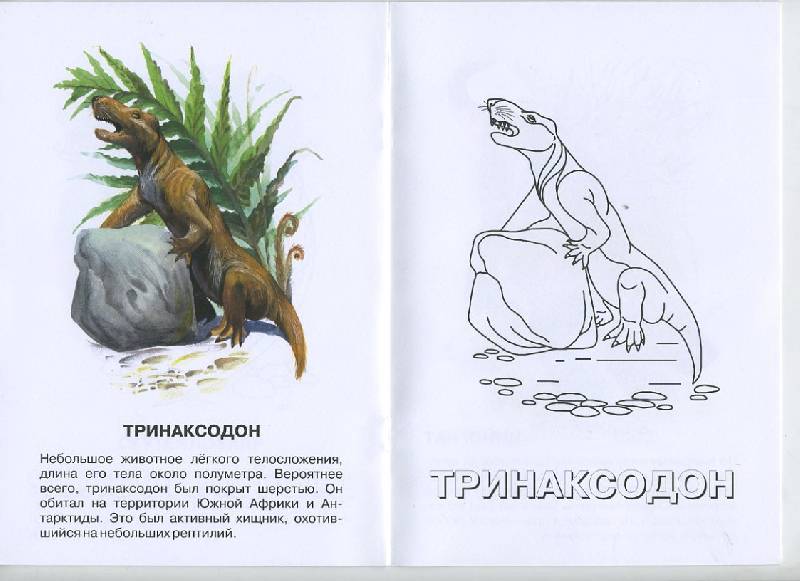 Иллюстрация 3 из 4 для Морганукодон. Мезозойская эра. Триасовый период | Лабиринт - книги. Источник: Pallada