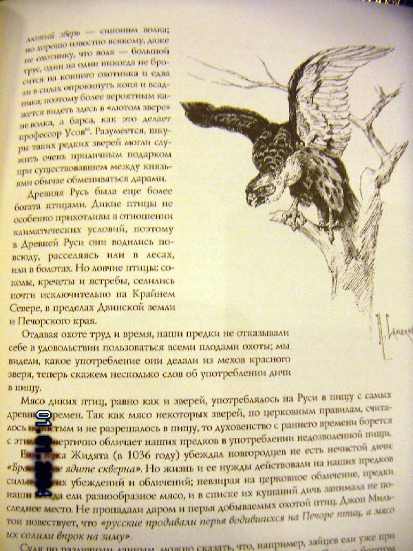 Иллюстрация 10 из 19 для Царская охота - Николай Кутепов | Лабиринт - книги. Источник: Алонсо Кихано