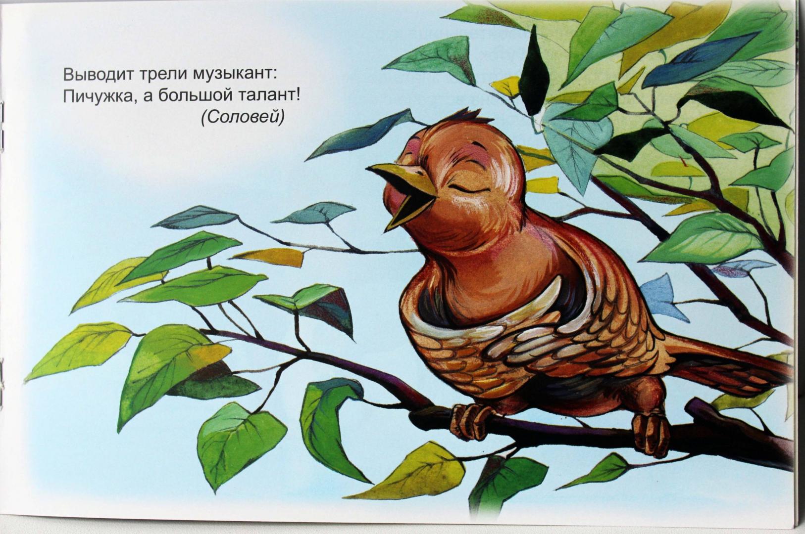 Иллюстрация 14 из 19 для Загадки в стихах - В. Борисов | Лабиринт - книги. Источник: Воронова  Ирина