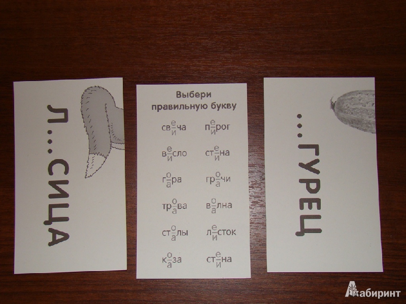 Иллюстрация 3 из 17 для Сова. Гласные и согласные в корне слова. Набор карточек с картинками - А. Штец | Лабиринт - книги. Источник: WhiteOwl