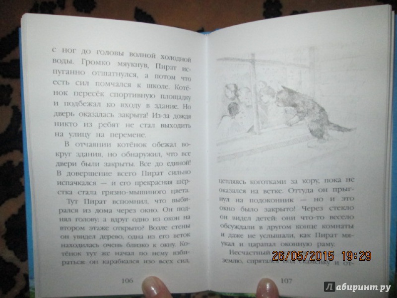 Иллюстрация 21 из 56 для Котёнок Пират, или Ловкий коготь - Холли Вебб | Лабиринт - книги. Источник: Сироткина  Мария