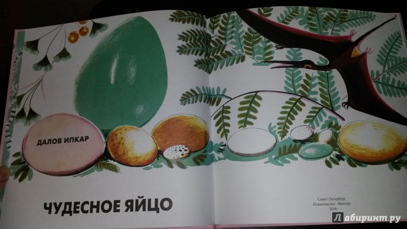 Иллюстрация 5 из 43 для Чудесное яйцо - Далов Ипкар | Лабиринт - книги. Источник: kirillleroy
