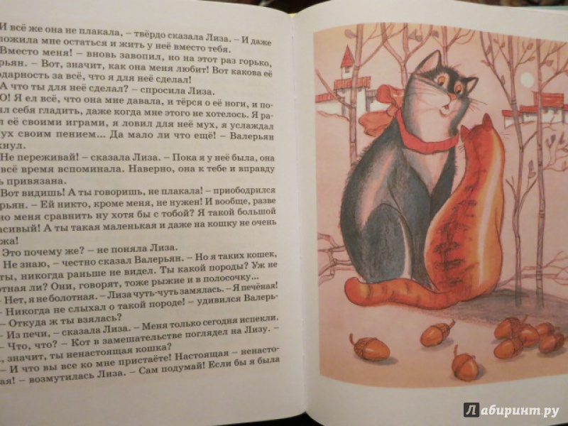 Иллюстрация 6 из 35 для Приключения Сдобной Лизы - Виктор Лунин | Лабиринт - книги. Источник: Юта