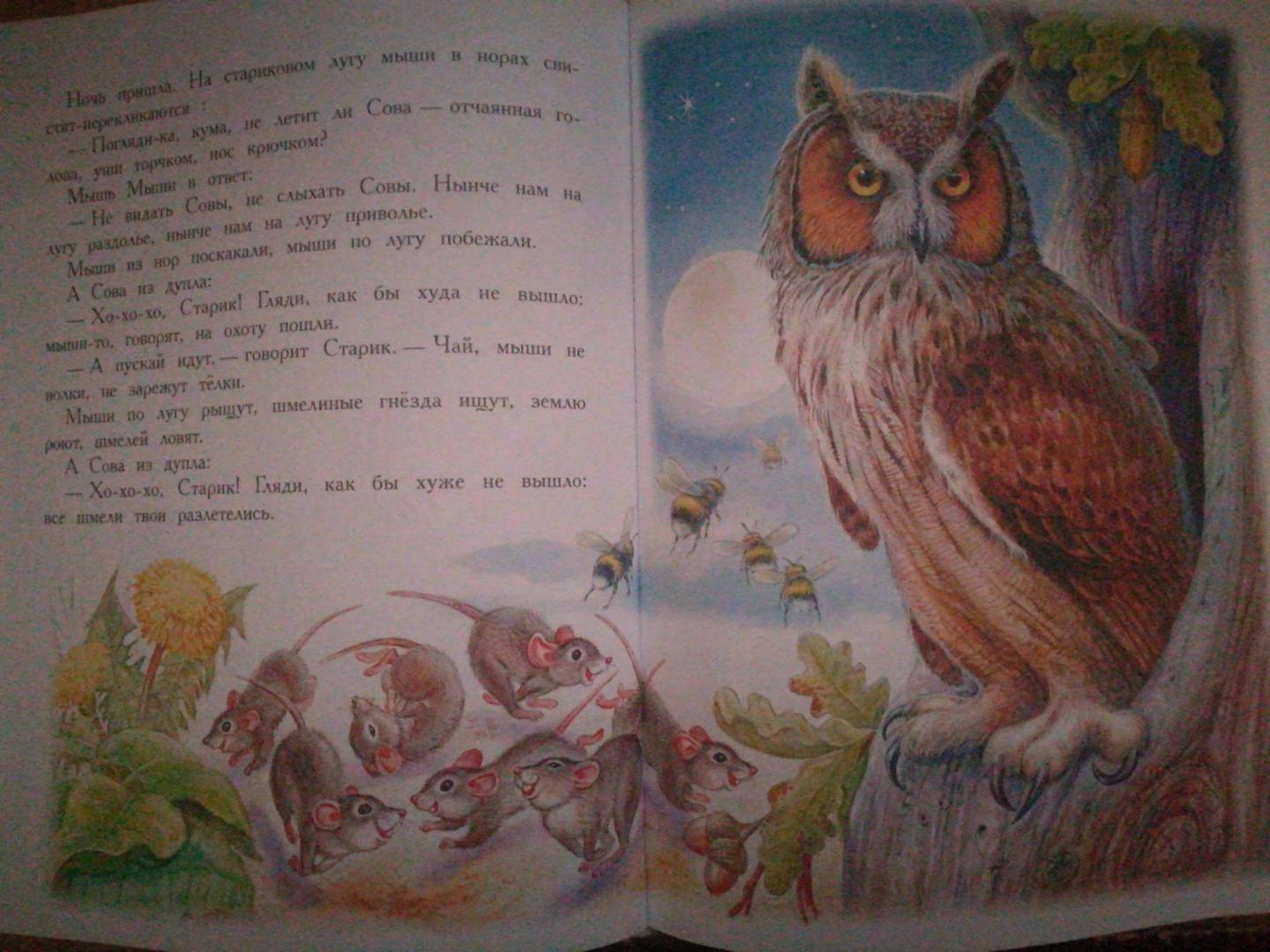 Иллюстрация 24 из 36 для Сказки для детей - Виталий Бианки | Лабиринт - книги. Источник: Голубова  Ирина