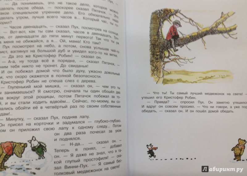 Иллюстрация 10 из 29 для Винни-Пух - Милн, Заходер | Лабиринт - книги. Источник: ELOIZA