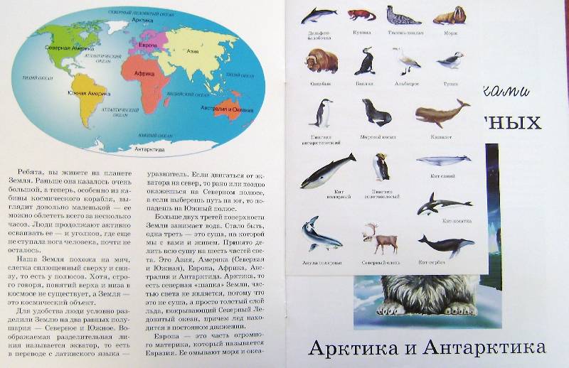 Иллюстрация 3 из 5 для В мире животных: Арктика и Антарктика - Игорь Куберский | Лабиринт - книги. Источник: BOOKвочка