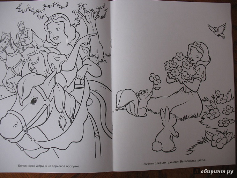 Иллюстрация 3 из 4 для Волшебная раскраска. Принцессы (№14105) | Лабиринт - книги. Источник: ЕленкаС