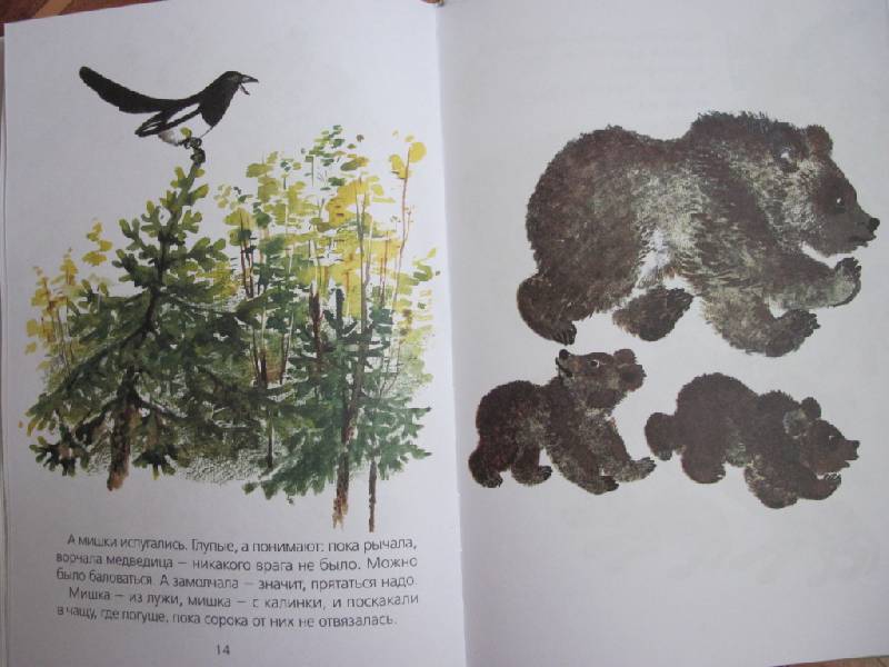 Иллюстрация 33 из 55 для Болтливая сорока - Евгений Чарушин | Лабиринт - книги. Источник: Само Совершенство