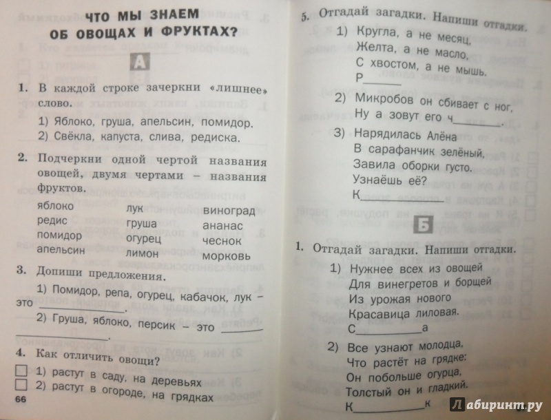 Иллюстрация 26 из 36 для Окружающий мир. Разноуровневые задания. 1 класс. ФГОС | Лабиринт - книги. Источник: Наталья