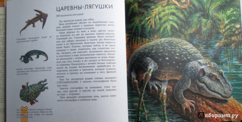 Иллюстрация 37 из 66 для Палеонтология в картинках - Ирина Яковлева | Лабиринт - книги. Источник: Алонсо Кихано