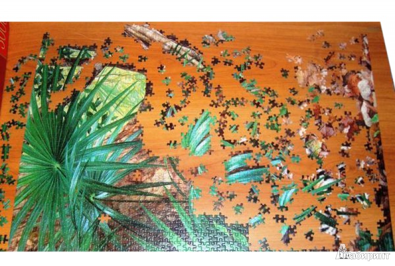 Иллюстрация 4 из 8 для Puzzle-3000 "Ягуары в джунглях" (С-300280) | Лабиринт - игрушки. Источник: Dmitry78