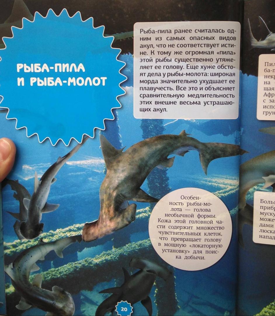 Иллюстрация 7 из 21 для Подводный мир - Ликсо, Третьякова | Лабиринт - книги. Источник: Савчук Ирина