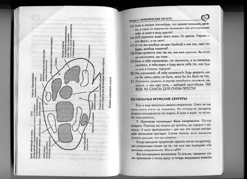 Иллюстрация 2 из 3 для Что скрывают мужчины - Алексей Кириллов | Лабиринт - книги. Источник: Варвара