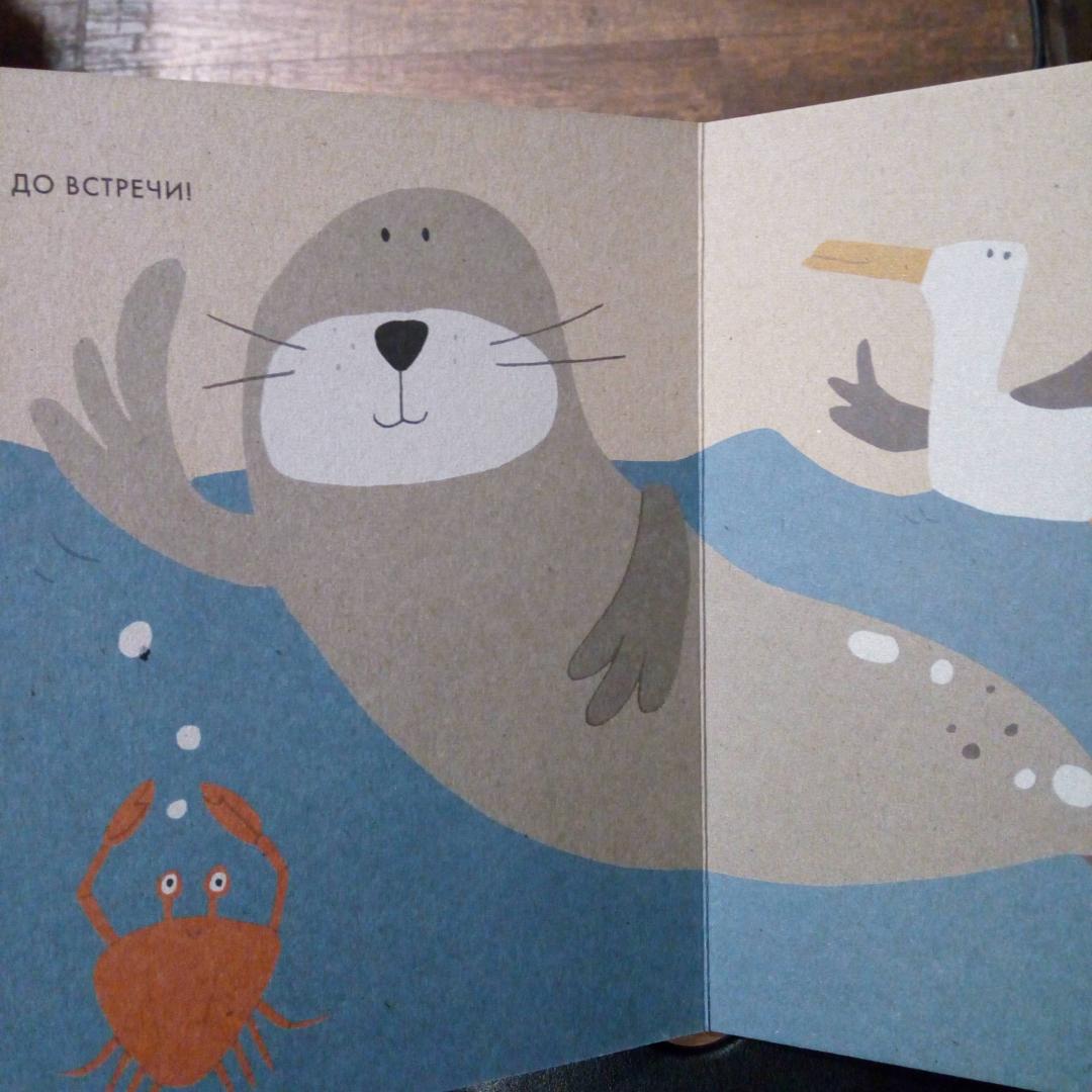 Иллюстрация 45 из 45 для Моё маленькое море - Катрин Виле | Лабиринт - книги. Источник: bookchik