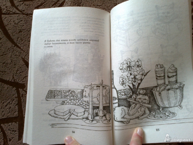 Иллюстрация 3 из 35 для Как жить с кошкой-невротиком - Стивен Бейкер | Лабиринт - книги. Источник: Mariyka