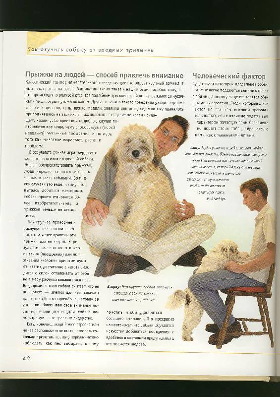 Иллюстрация 33 из 42 для Как отучить собаку от вредных привычек - Колин Теннант | Лабиринт - книги. Источник: ЛиС-а