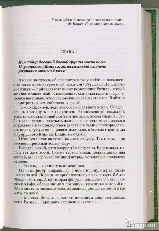 Иллюстрация 6 из 21 для Князь Палаэль. Испытания для мага - Владимир Снежкин | Лабиринт - книги. Источник: VenViresse