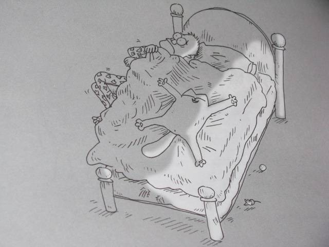 Иллюстрация 52 из 61 для Кот Саймона. Набор подарочный в 3-х книгах - Саймон Тофилд | Лабиринт - книги. Источник: Nemertona