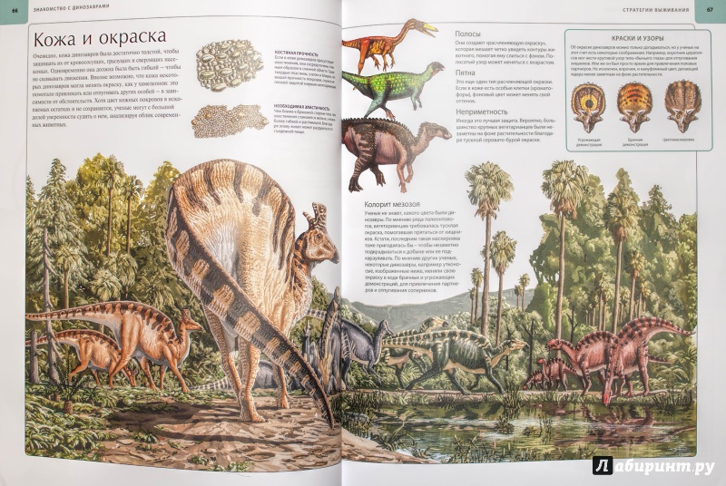 Иллюстрация 29 из 109 для Динозавры. Иллюстрированный атлас - Майкл Бретт-Шуман | Лабиринт - книги. Источник: DARKLIGHT