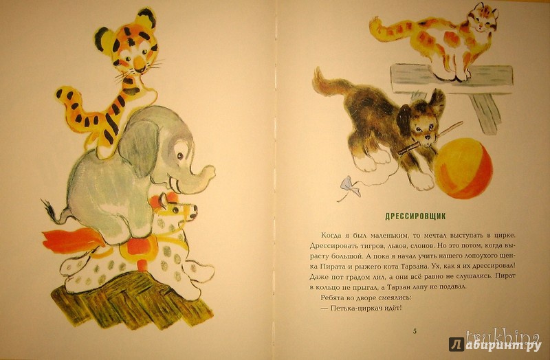 Иллюстрация 36 из 43 для Станция Самоварово - Александр Барков | Лабиринт - книги. Источник: Трухина Ирина