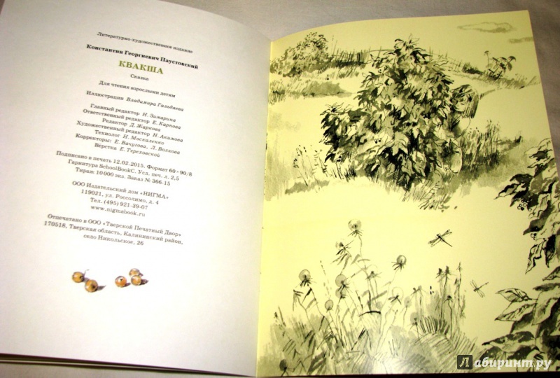 Иллюстрация 32 из 46 для Квакша - Константин Паустовский | Лабиринт - книги. Источник: Бог в помощь