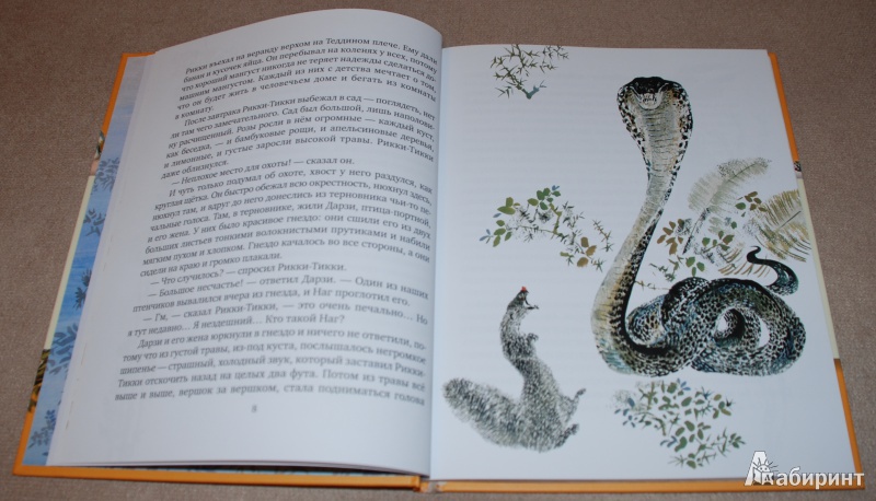 Иллюстрация 13 из 45 для Сказки с далеких берегов - Редьярд Киплинг | Лабиринт - книги. Источник: Книжный кот