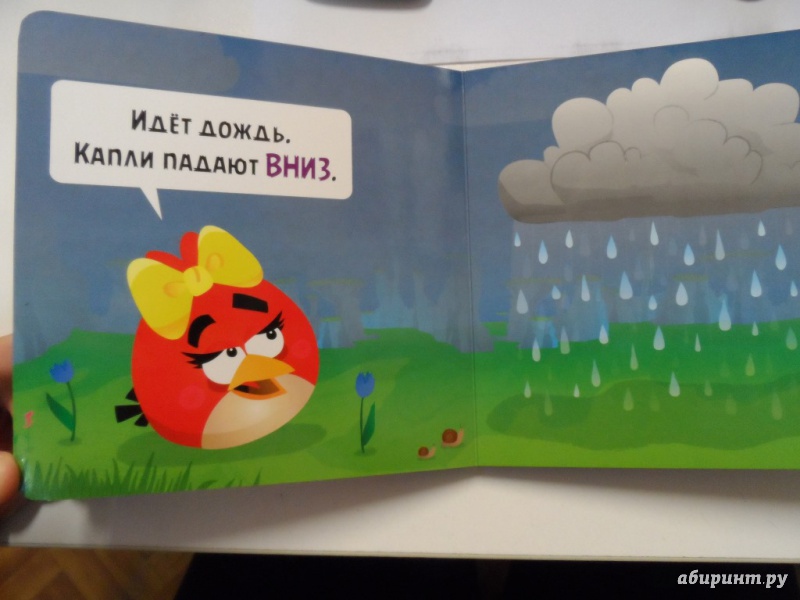 Иллюстрация 4 из 16 для Angry Birds. Кто, где, куда? | Лабиринт - книги. Источник: Брежнева  Инга