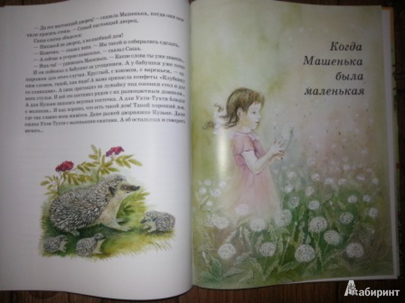 Иллюстрация 33 из 36 для Мой папа - волшебник - Софья Могилевская | Лабиринт - книги. Источник: Мама, просто мама
