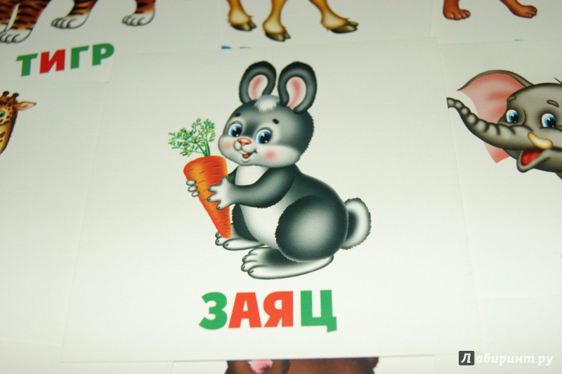Иллюстрация 10 из 13 для Развивающие карточки Дикие животные (12шт) (37273-50) | Лабиринт - книги. Источник: Лабиринт
