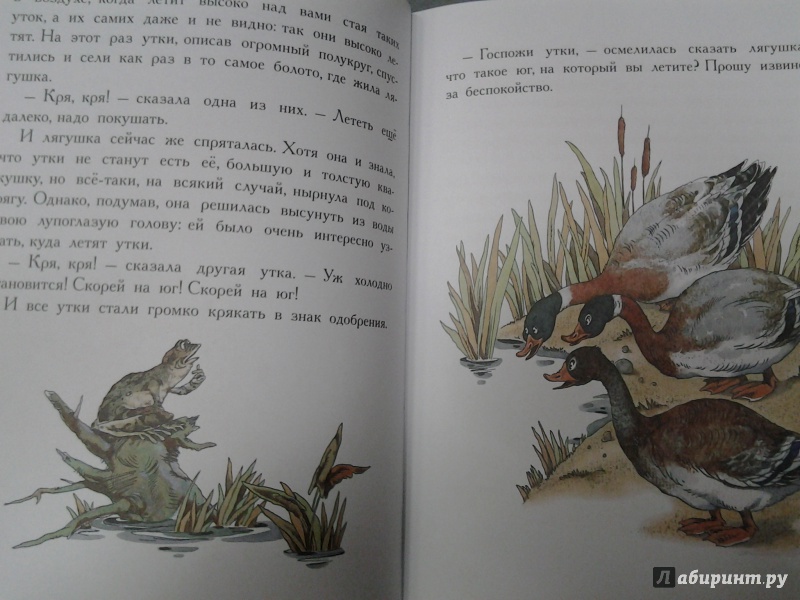 Иллюстрация 4 из 48 для Сказки про животных - Паустовский, Бианки, Заходер | Лабиринт - книги. Источник: Olga