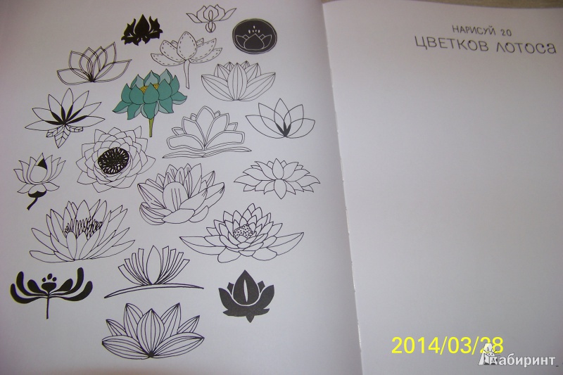 Иллюстрация 20 из 38 для 20 способов нарисовать тюльпан и 44 других прекрасных цветка - Лиза Конгдон | Лабиринт - книги. Источник: G