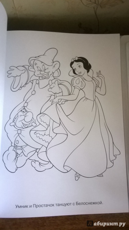Иллюстрация 5 из 16 для Принцессы. Раскраски и краски | Лабиринт - книги. Источник: very_nadegata