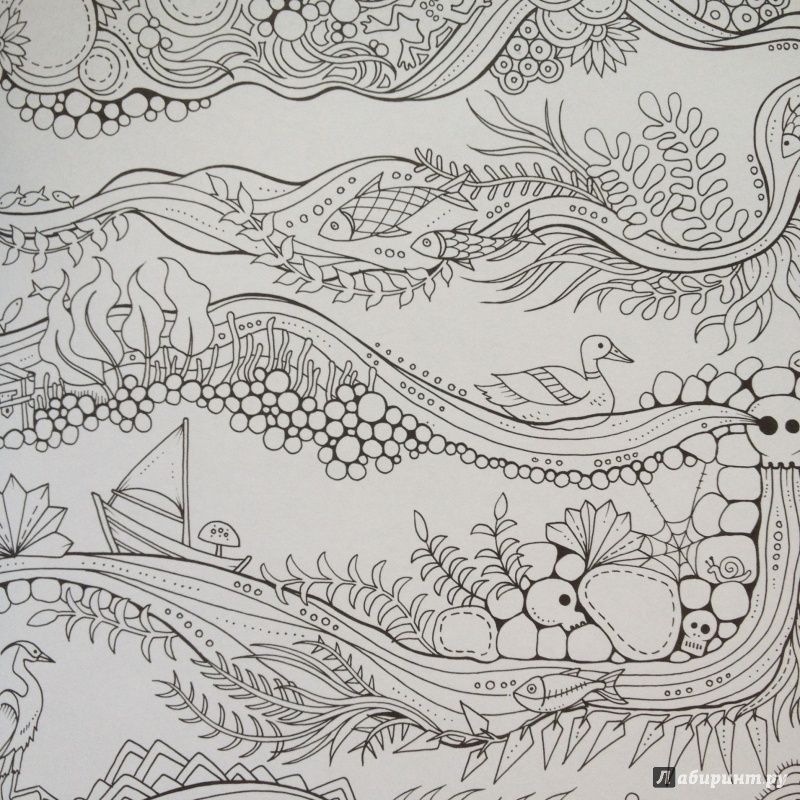 Иллюстрация 41 из 68 для Зачарованный лес - Джоанна Бэсфорд | Лабиринт - книги. Источник: Мещерякова  Ольга Юрьевна