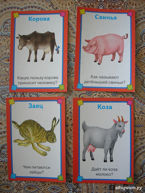 Иллюстрация 2 из 10 для Животные. Набор развивающих карточек | Лабиринт - книги. Источник: Nataykasheva