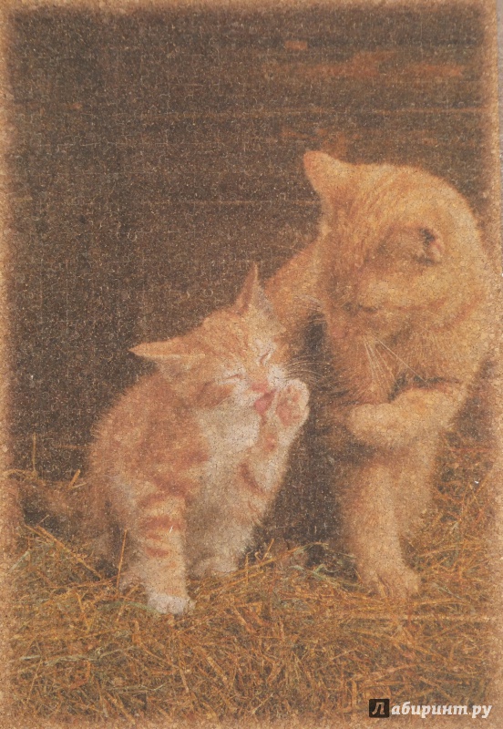 Иллюстрация 2 из 4 для Пазл-500. Кошка с котенком. Пробковый (30205) | Лабиринт - игрушки. Источник: Мартынова  Светлана Анатольевна