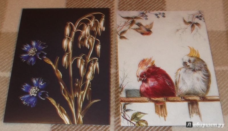 Иллюстрация 6 из 27 для Набор открыток Эрмитаж. Цветы и птицы, 16 штук | Лабиринт - сувениры. Источник: Агаточка