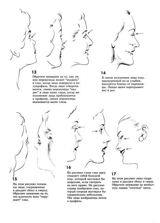Иллюстрация 16 из 43 для Как рисовать голову и фигуру человека - Джек Хамм | Лабиринт - книги. Источник: Юта