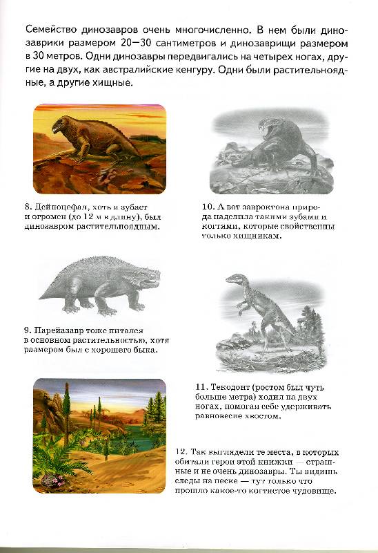 Иллюстрация 11 из 12 для Сборник-2: Птицы, насекомые, животные, динозавры - Бугаев, Александрович, Гришин | Лабиринт - книги. Источник: РИВА